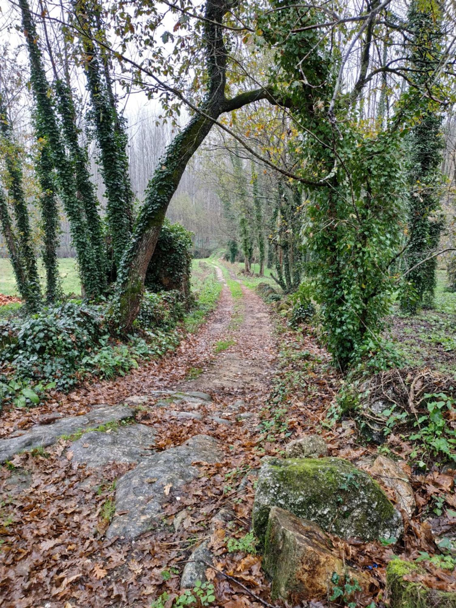 Hotel Quinta Do Paul De Baixo Guimarães Exteriér fotografie